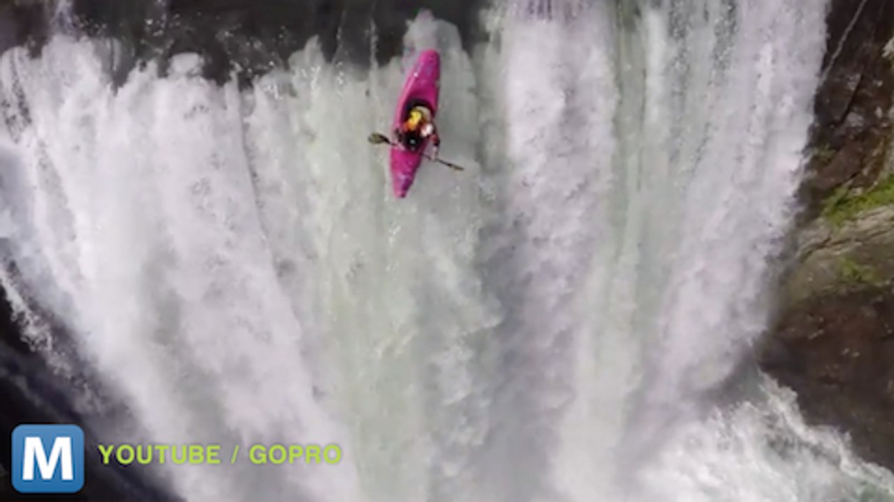 Viral Video Recap: Ping Pong Cats and Dead Leaf Dogs