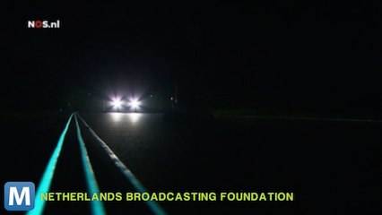 This Road In The Netherlands Glows In The Dark