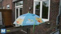 An Umbrella mod for Tracking Rainfall Patterns