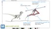 Korean Researchers Testing Raptor-Inspired Running Robot