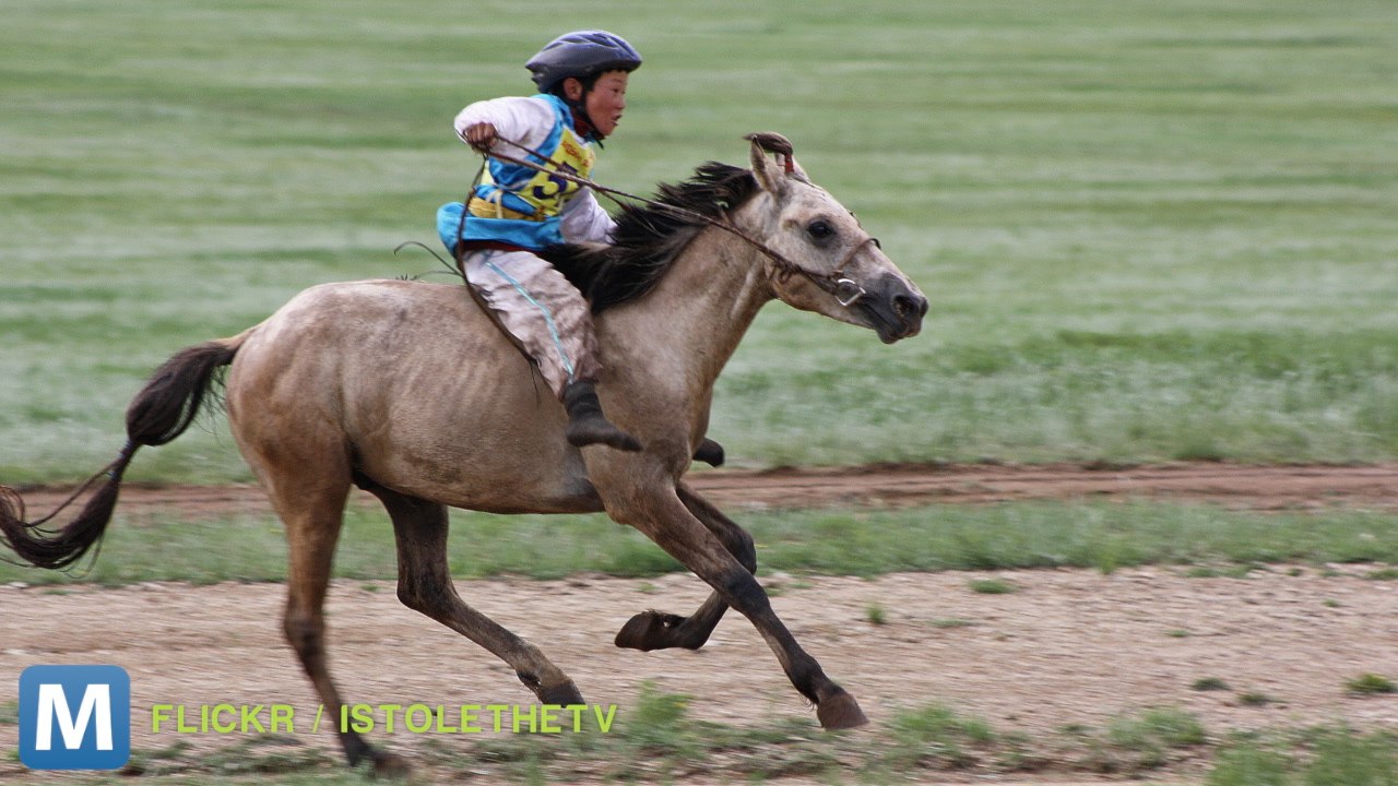World’s Oldest Pants Reveal Why We Wear Pants Today