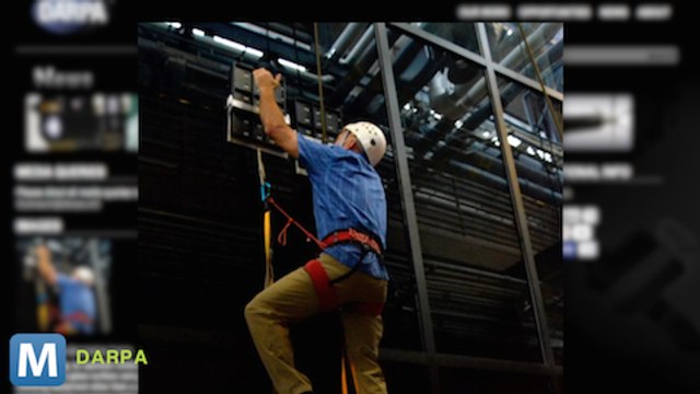 Darpa’s Geckskin Could let Soliders Scale Sheer Walls