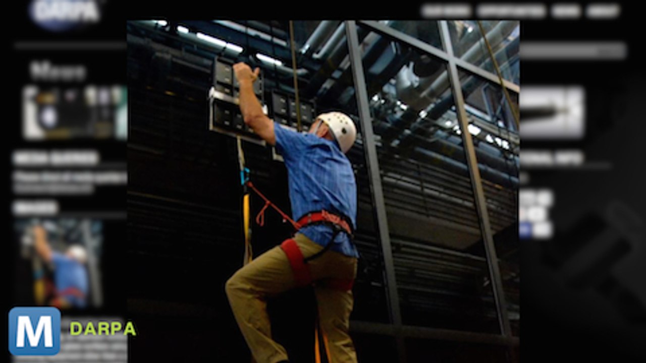 Darpa’s Geckskin Could let Soliders Scale Sheer Walls