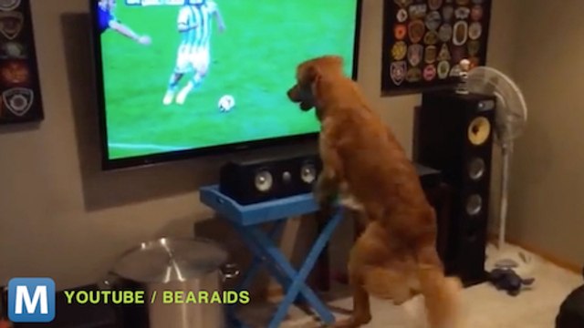 Viral Video Recap: Internet Arguments and Slow-Motion Bubbles