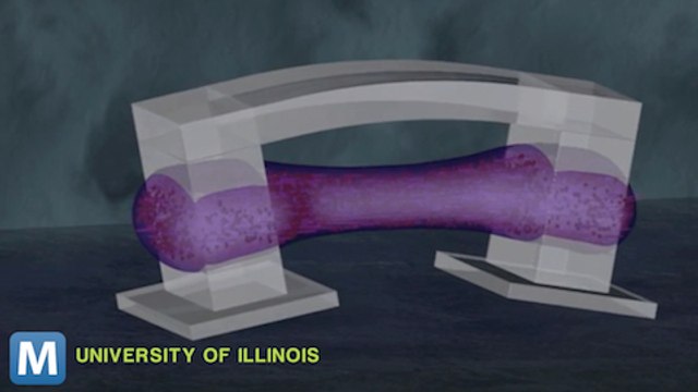 Researchers Show off Biological Robots’ Twitchy Gait