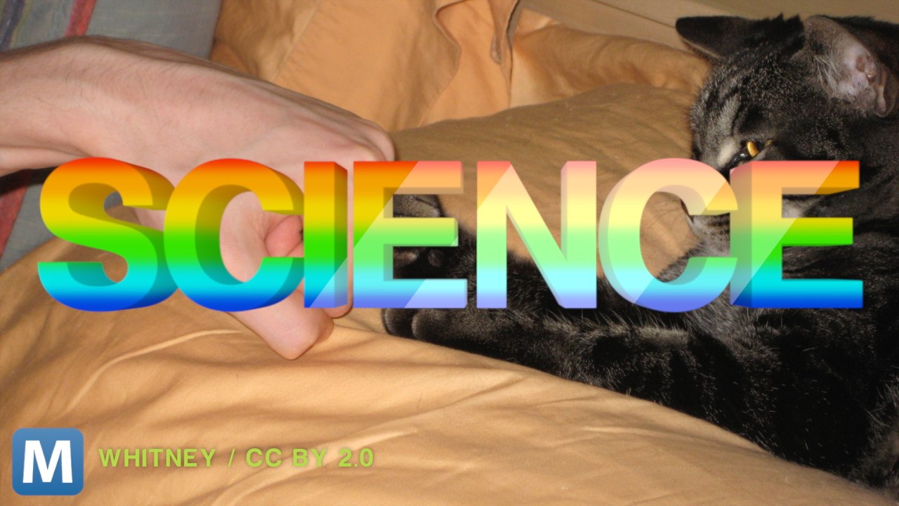 Study Says Fist Bumps Are Healthier Than Handshakes, High Fives