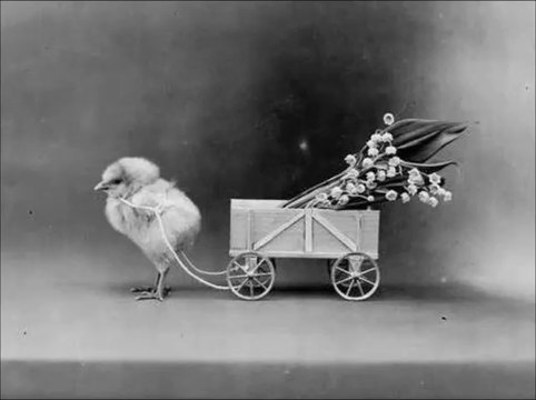 From Nursery To Misery - A3/ Spawning Beds