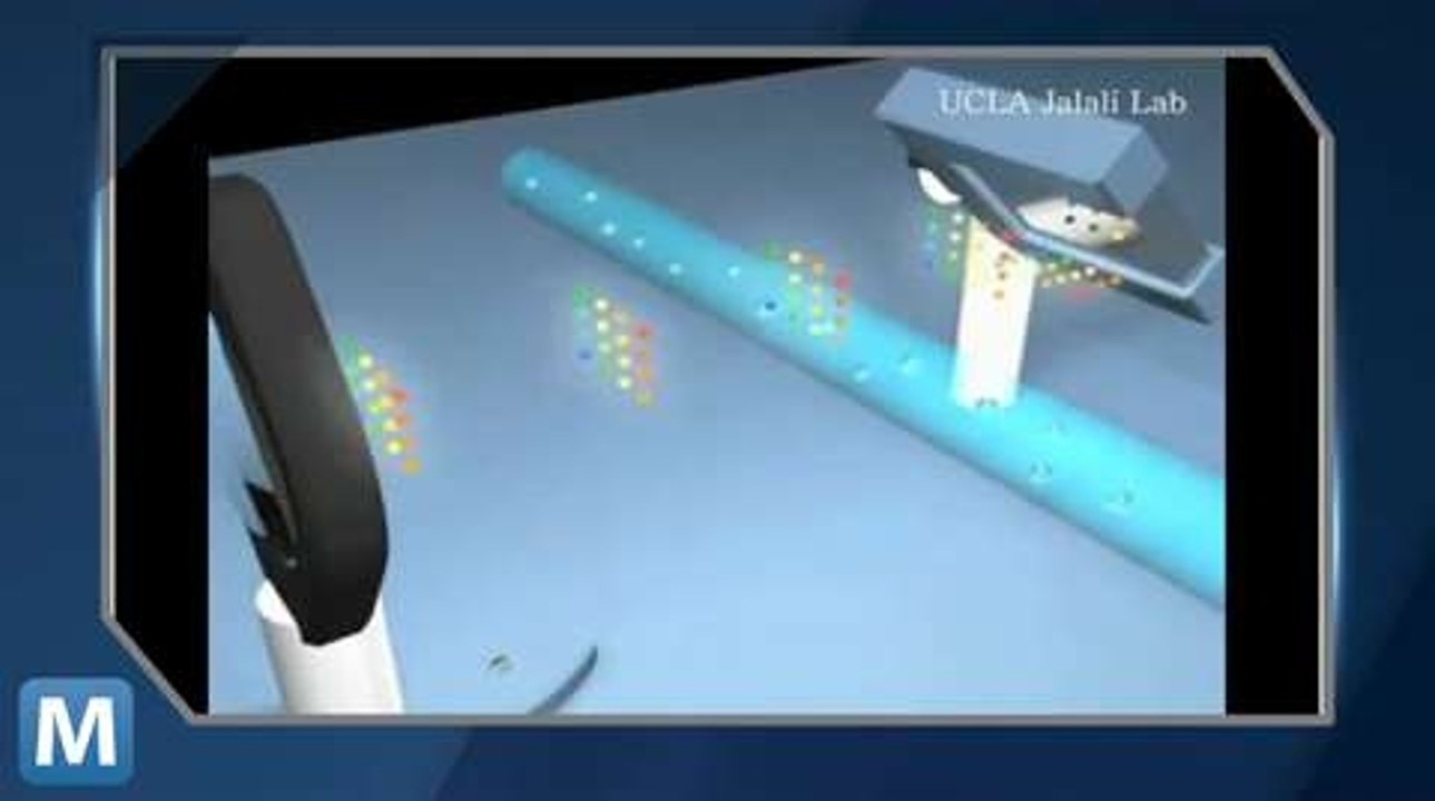 World’s Fastest Camera Can Capture Cancer Cells in Real Time