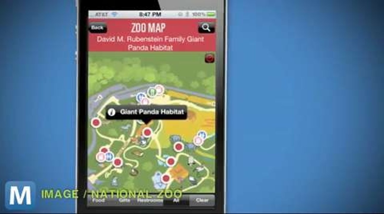 National Zoo App Streams Live Videos of Animals to Your Phone