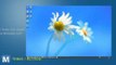 RetroUI Puts the Classic Windows Experience Back in Windows 8