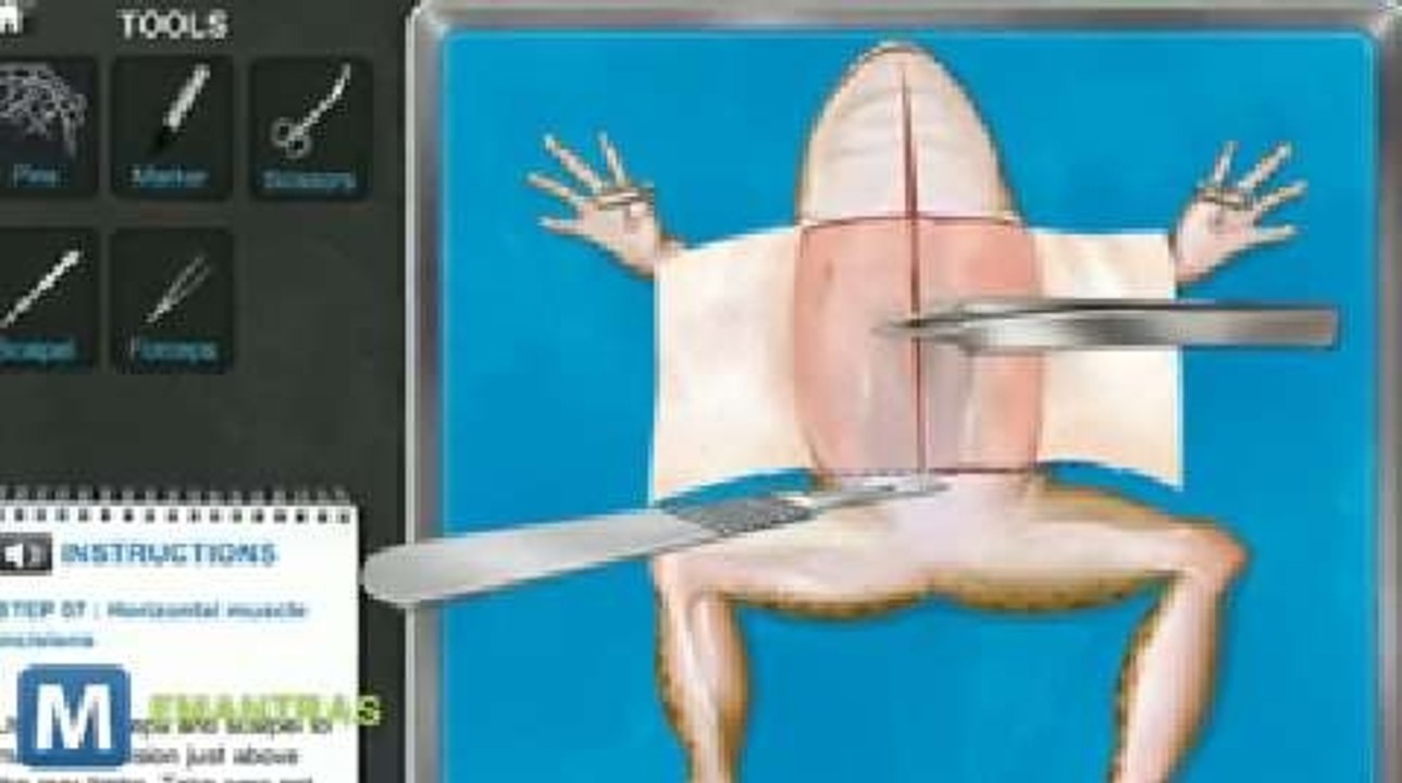 PETA Offers Virtual Frog Dissection Software for Free in India