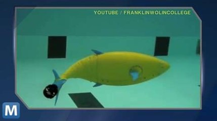 Homeland Security Commissions Multi-mission Fishbot