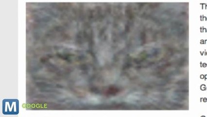 Google's Cat Algorithm is Now Boosting Voice Recognition