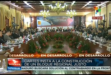 Llama Cartes a una integración plena de los países que forman Mercosur