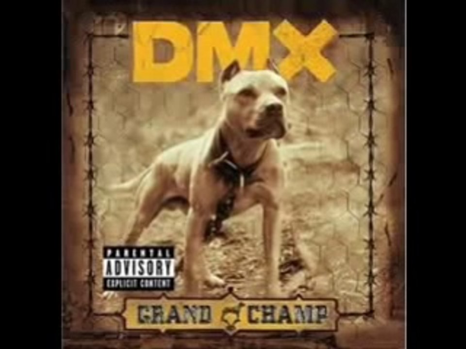 DMX - The Rain