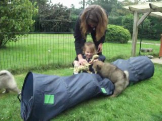 Visite de Louna (2 ans 1/2) Quelle joie !