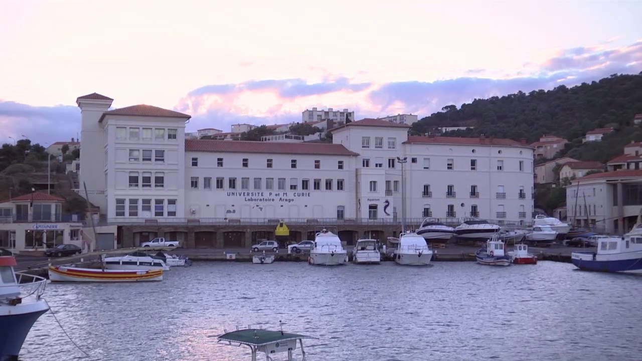 Film promotionnel Laboratoire Arago Banyuls-sur-Mer