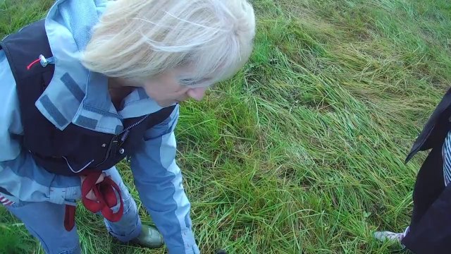 berger beauceron en recherche utilitaire