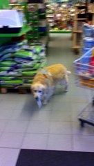 COLLECTE 26 MAI 2012 PARTIE 1