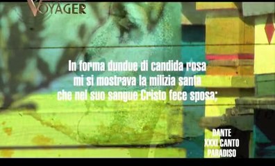 Voyager - 30 - La profezia delle api