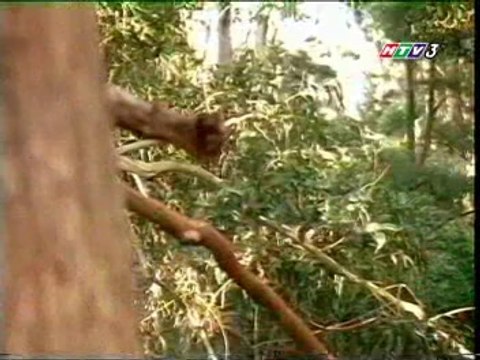 Những Cuộc Phiêu Lưu Của Sinbad -Tập 29 (The Adventures of Sinbad)