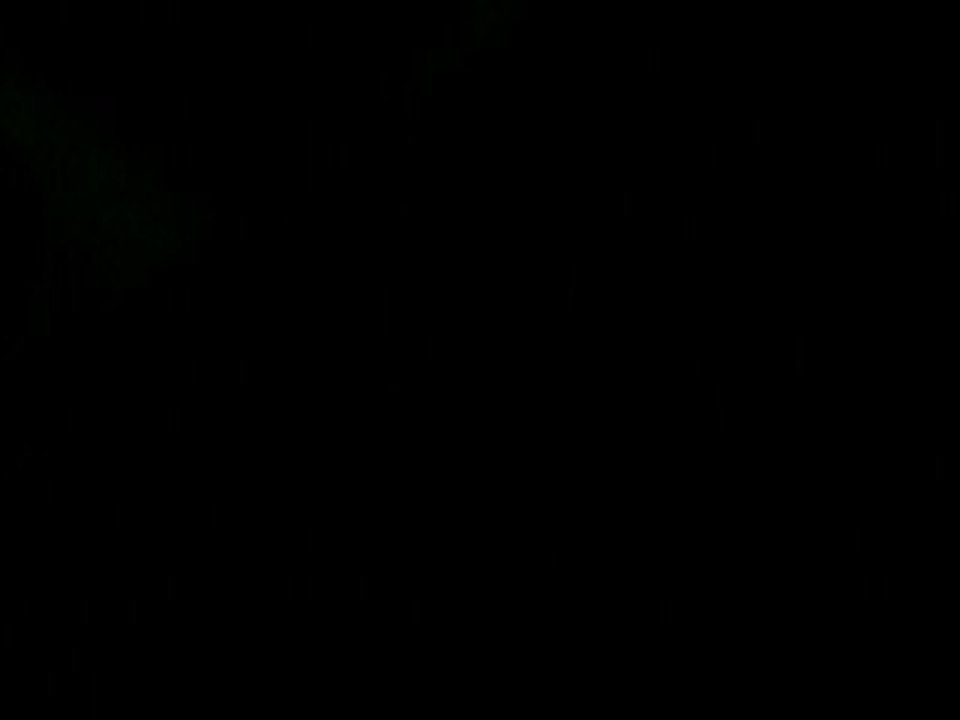 a shadow of night