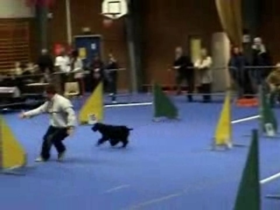 Jumping Tasco