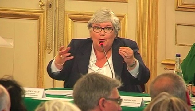 Les maires et le pacte républicain - Colloque Odas au Sénat le 4 juin 2014 - Jacqueline Gourault, sénatrice du Loir. et.Cher, Présidente de la délégation sénatoriale aux collectivités territoriales et à la décentralisation.