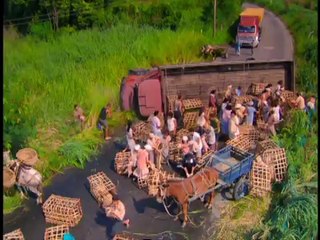 Trailer Carga Pesada