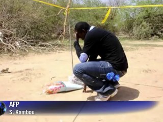 Crash d'avion au Mali: une enquête complexe, "aucun corps intègre"