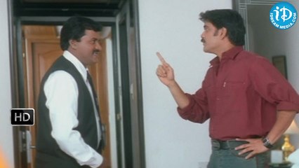 Nenunnanu Movie -  Nagarjuna, Sunil, Shriya, Parchuri, Ali Funny Scene