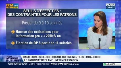 Delphine Liou: Les seuils sociaux freinent-ils la création d'emploi ? - 30/07