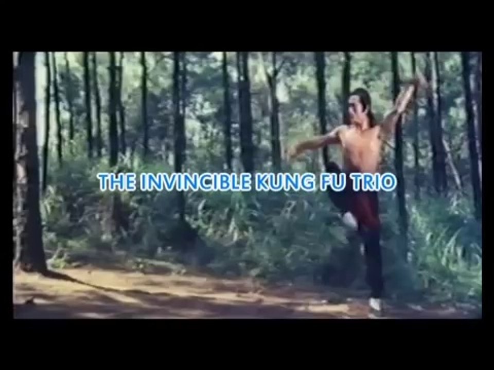 THE INVINCIBLE KUNG FU TRIO - LETTERBOX - ENGLISH DUBBED