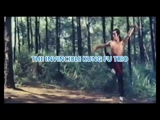 THE INVINCIBLE KUNG FU TRIO - LETTERBOX - ENGLISH DUBBED