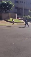 Maui Mayoral Candidate TAZED by MPD