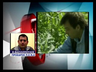 ΔΙΑΜΑΡΤΥΡΙΑ ΝΕΩΝ ΑΓΡΟΤΩΝ ΓΙΑ ΤΗΝ ΚΑΠ