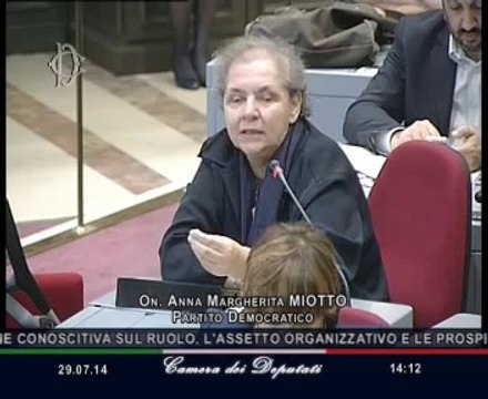 Roma - Audizione Pani, direttore generale Aifa (29.07.14)