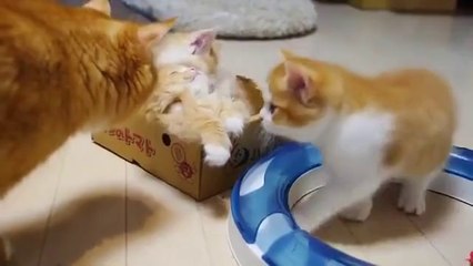 Şu Tiplere Bakın ne Sevimliler