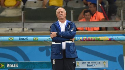 Scolari już znalazł pracę