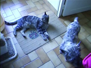 Babylone et Jaudy à midi