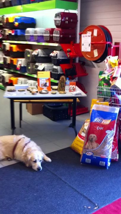 COLLECTE 28 JUILLET 2012 MAXIZOO BEAUVAIS PARTIE 1