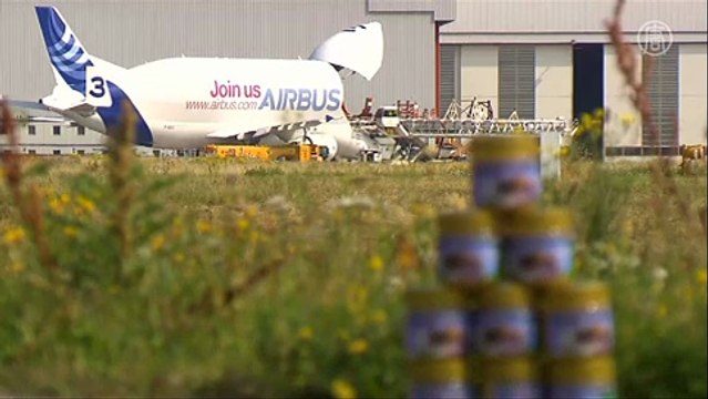 Пчелы помогают Airbus отслеживать влияние на экологию