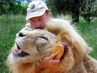 NON A L'ABANDON D'ANIMAUX POUR LES VACANCES