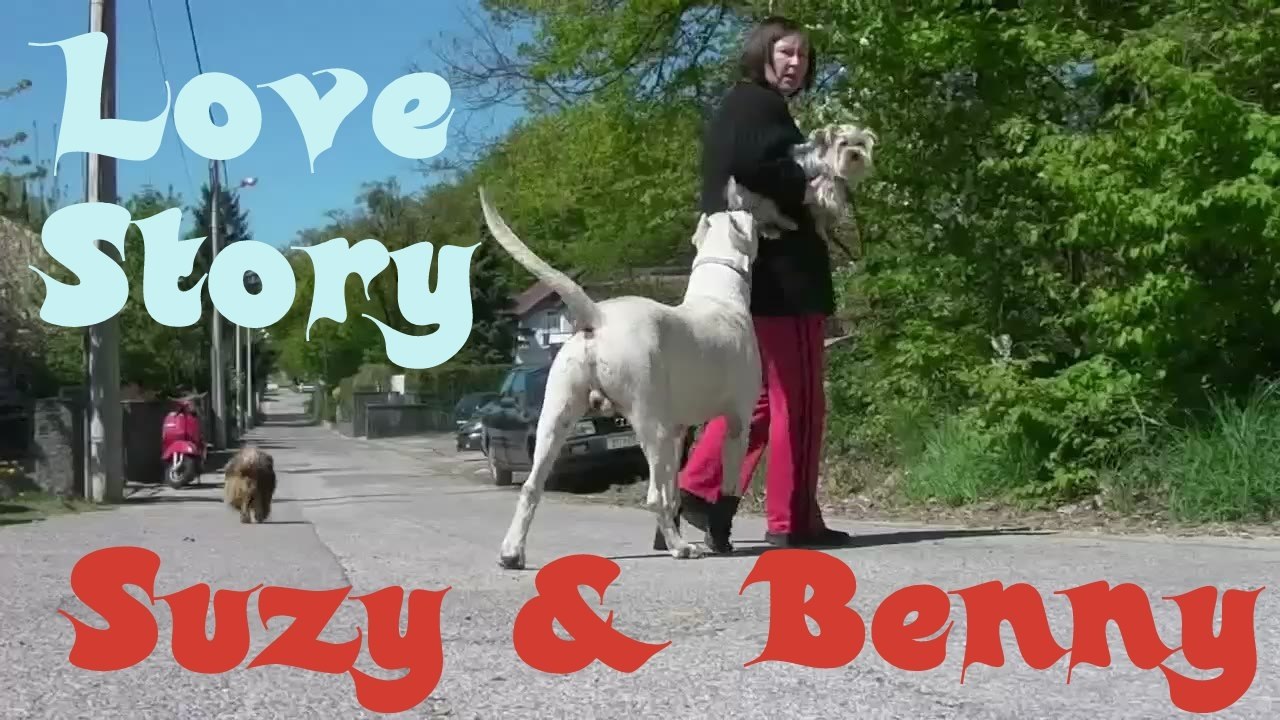 Love Story