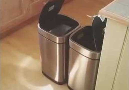 Dad Can't Stop Laughing at Motion Sensitive Bins