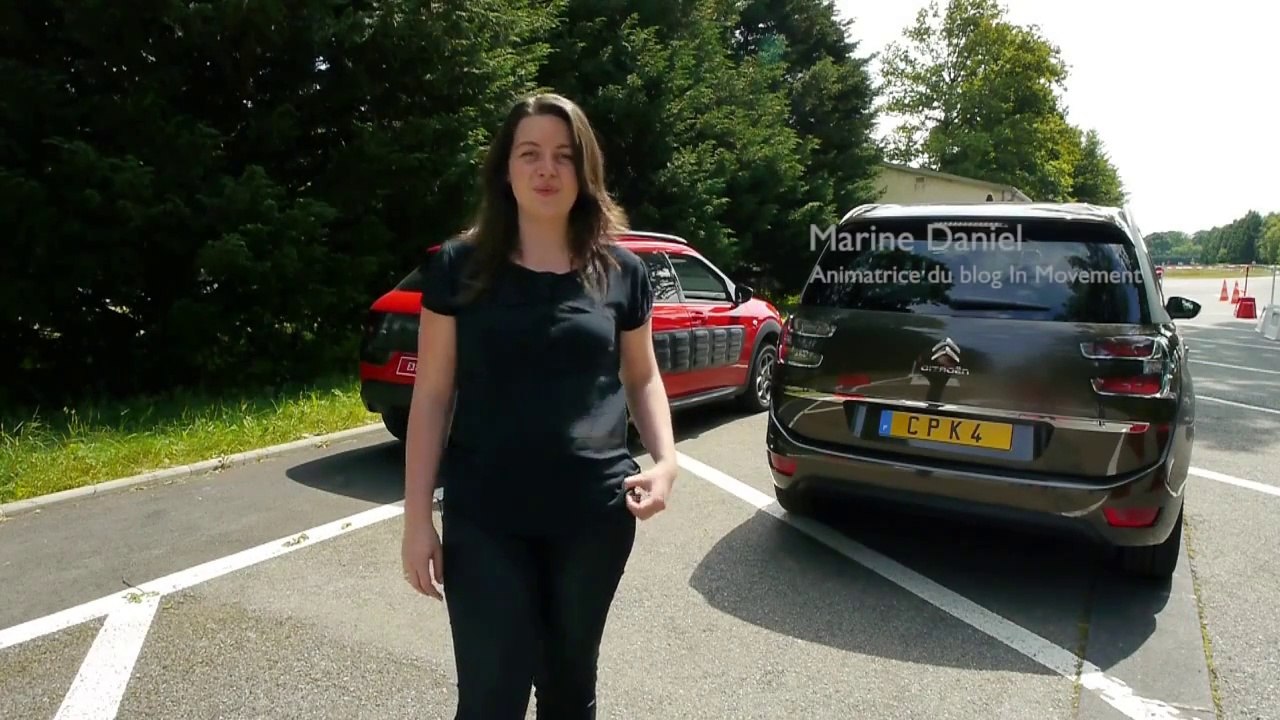 Peugeot City Park Full Automatic ( www.feline.cc )