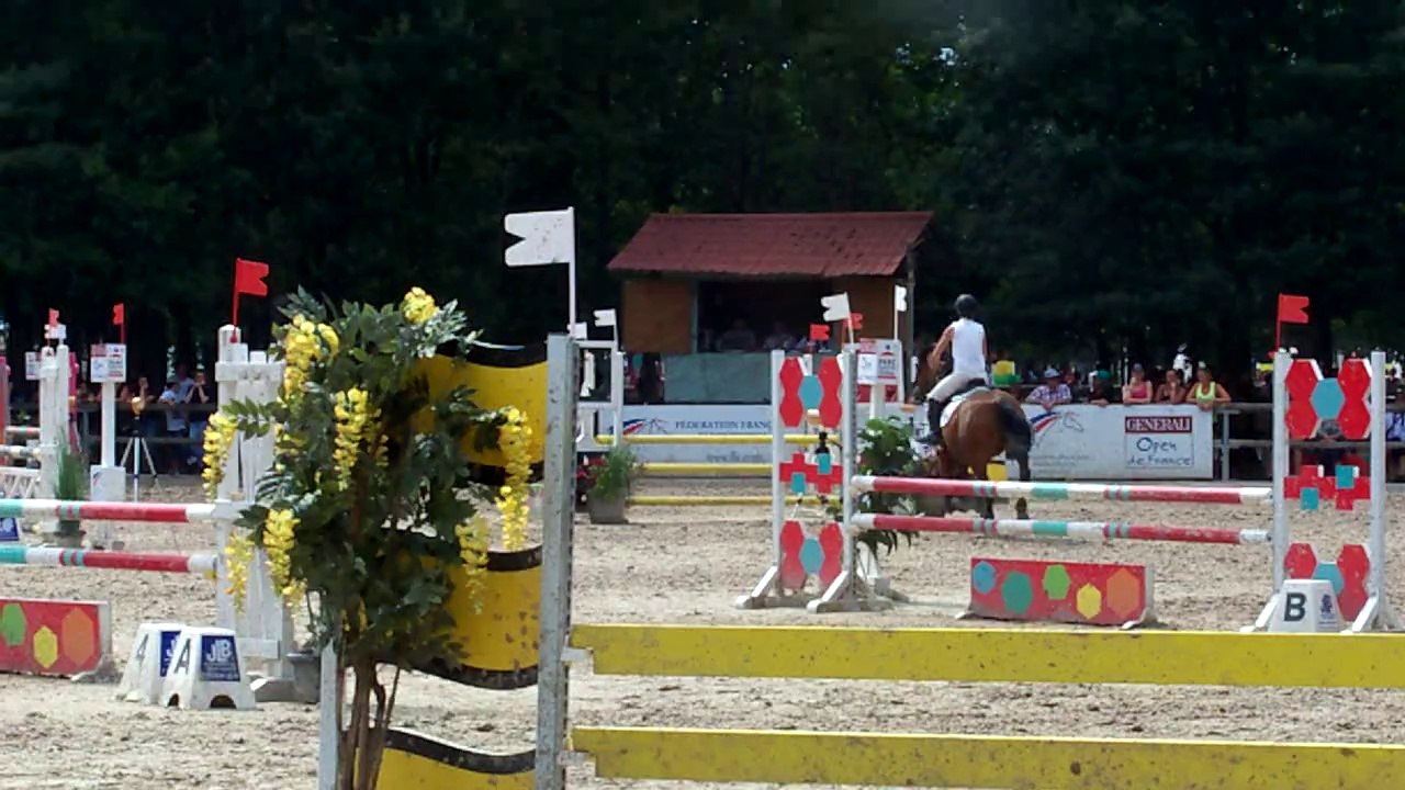 LM SCO 2