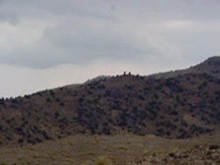 iraq americans in afghani special forces