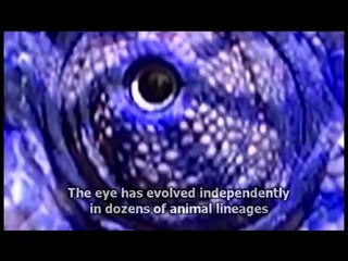 Metanoia: A New Vision of Nature (a film about life, evolution and intelligence)