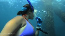 Spearfishing With Abbie Eubanks